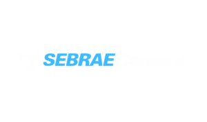 SEBRAE Conecta - Parceria Oficial